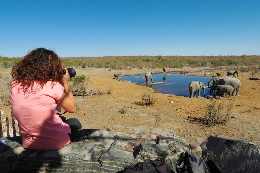 A rare image of a woman taking pictures of a group of elephants drinking water at a waterhole, in Etosha National Park Namibia
