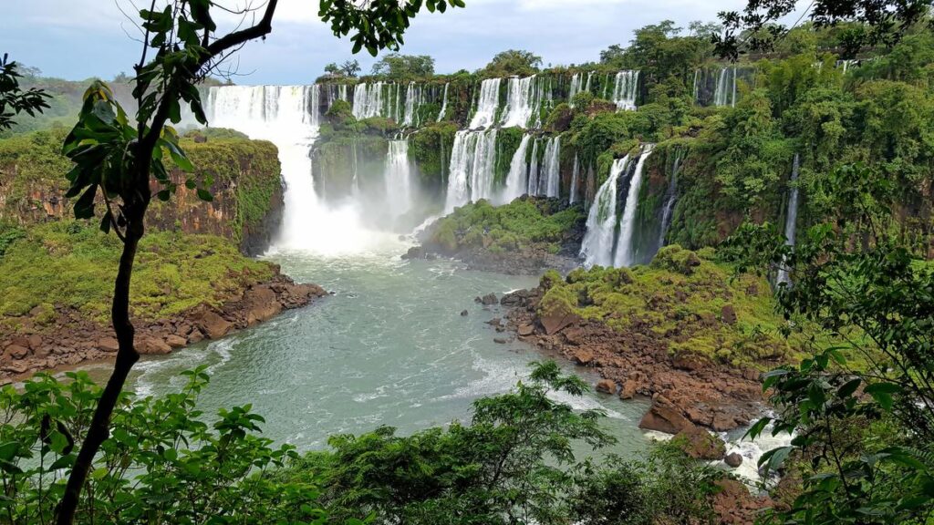 A rear view of the Iguazú National Park, a subtropical rainforest full of wildlife
